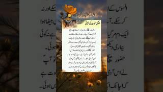 Peaceful pathways #lovemuhammadsaww #AahdessMubarak