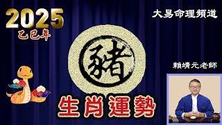 2025年 豬 生肖運勢｜2025 生肖「豬」 完整版｜2025年 运势 豬｜乙巳年運勢  豬 2025｜2025年运途  豬｜ 豬 生肖运程 2025｜大易命理頻道｜賴靖元 老師｜CC 字幕