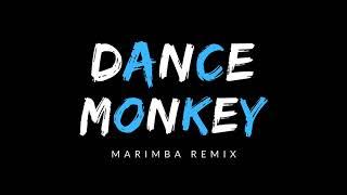 Dance Monkey - Tones and I (Marimba Remix) Marimba Ringtone - iRingtones