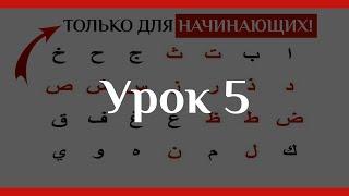 Арабский Алфавит За 5 Уроков Выучить БУКВЫ!