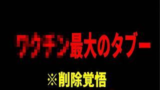 【削除覚悟】ワ◯◯ン最大のタブーを公開します/我那覇真子 村上康文 池田としえ 加藤正二郎  / 国民連合  記者会見外国人記者クラブ  2024/8/23