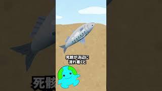 絶対に近づいてはいけない生物【ヒメスナホリムシ】#shorts #雑学 #いきもの