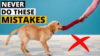 WORST Mistakes I Made Raising my First Golden Retriever