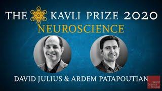 Science in Focus. The Kavli Prize 2020 | Neuroscience