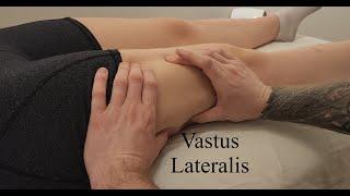 Muscle Palpation - Vastus Lateralis (Quadriceps) [ASMR] [NEW]