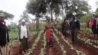 Scientific Animations Without Borders on Drip Irrigation