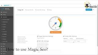 How to use Magic SEO? (Opencart Plugin)