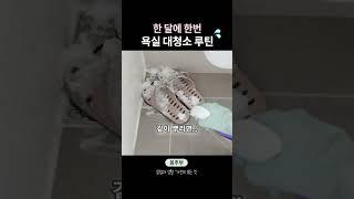 욕실 대청소 하는 날🫧 청소 꿀템 치트키 쓰기