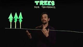 Permaculture Trees in Temperate Climates