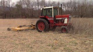 IH 886 - Clipping a Field w/ Flex Wing Rotary Cutter