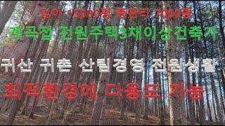 횡성부동산 계곡접한임야 15000평 중 관리 7000여평 전원주택3채이상건축가능 전으로 사용200여평 상수도 전기 입 가성비최고