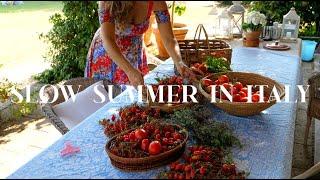 RENOVATING A RUIN: Preserving Tomatoes in Italy, Slow Summer Days, Cottage Building Continues Ep 58