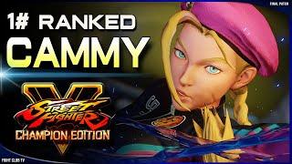 Baliox (Cammy)  Street Fighter V Champion Edition • SFV CE