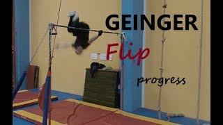 GEINGER FLIP progress [Czech Freestyle Calisthenics & Street Workout] 2018