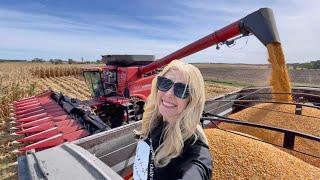 Combining High Moisture Corn for the Dairy Farm!