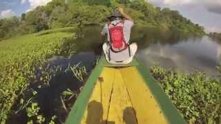 Piranha Fishing On The Amazon River