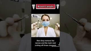 Why root canals are so dangerous