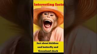 #interesting facts abou monkey#