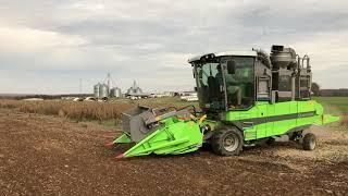 Science for Success: The Best Soybean Management Practices