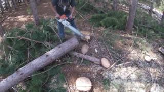 WHOSE FASTER  STIHL 038 SUPER VS STIHL MS460