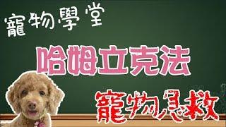 【Pet School #01】What should I do with my pet? Heimlich Maneuver for pets