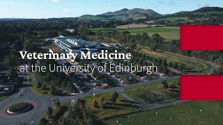 Veterinary Medicine at the University of Edinburgh (2023-4)