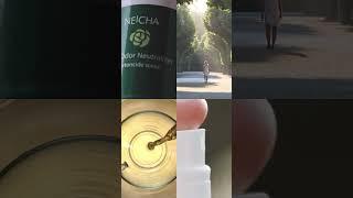 Which scent reminds you of home?