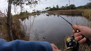 Fishing BRACKISH Water for Saltwater AND Freshwater Fish!!