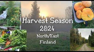 Fall Harvest in northern East Finland