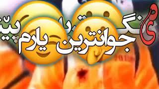 texta rash  text rash text r4sh خۆشترین گۆرانی بریار رزگار و جۆانترین تێکستی رەش