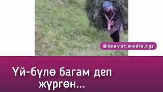 тасирду видео