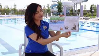 Water Safety Month: "Josh the Baby Otter" Story