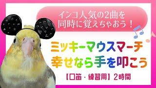 【2時間】Mickey Mouse March&If you're happy and you know it️whistle trainingインコちゃんの口笛練習用にどうぞ