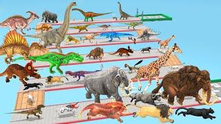 Which Animal vs Dinosaurs Speed Race Run Zigzag Down Course! from Outside Animal Revolt Battle Simul