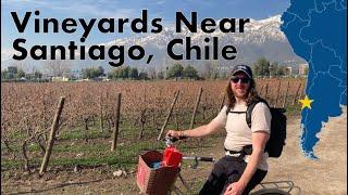 The BEST Wineries of Central Chile