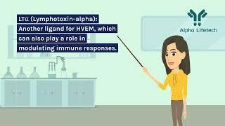 Alpha Lifetech: Quick 3-Minute Guide to CD270/HVEM/TNFRSF14 