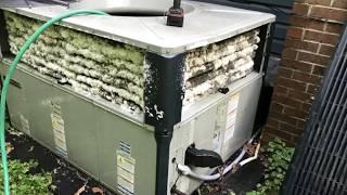 Trane Gas Packaged HVAC Unit coil cleaned and performance check