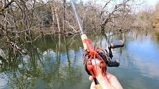 Bass Love Crawfish!