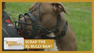 Scrap the XL bully ban? Feat. Lowri Turner & Imarn Ayton | Storm Huntley