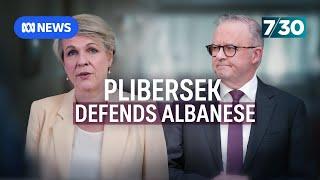 Tanya Plibersek defends Albanese's $4.3m property purchase as federal EPA creation stalls | 7.30