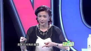 人狗同食到底对不对？金星毒舌一出 太多人无地自容