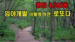 평당 4,500원의 임야를 이렇게 개발하면 로또다 (간벌.작업로.전원주택지.개발로 임야의 가치를 10배 상승의 방법)