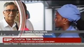 Ευλογία των πιθήκων: Πώς μεταδίδεται και πόσο κινδυνεύει η Κύπρος