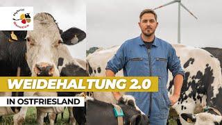 Weidehaltung 2.0 mit hoher Futteraufnahme. Milchviehhalter Jelke de Jong in Ostfriesland.