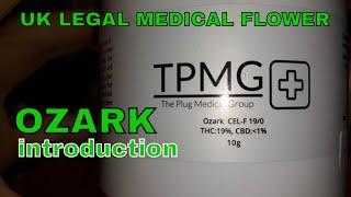 OZARK | The Plug Medical Group, Celadon, & Takoda One | INTRO & RANT