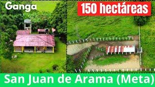 se vende finca en san juan de arama ( meta ) fincallanos