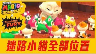 《Mario bowser's fury》Guide to all positions of stray kittens | Super Mario 3D World+bowser's fury