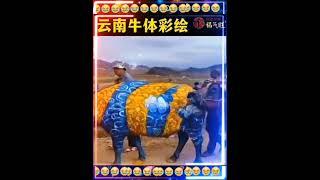 （ 創意逗趣短片 ）2024-11-21 週四