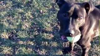 Aliza Playing Ball