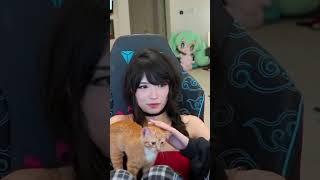 Mozzi orders, Emiru obeys #twitch #shorts #cat #kitten